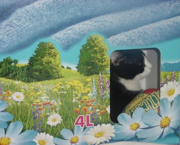 Clicca per vedere l\'immagine originale