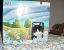 micia07 * 578 x 450 * (44KB)