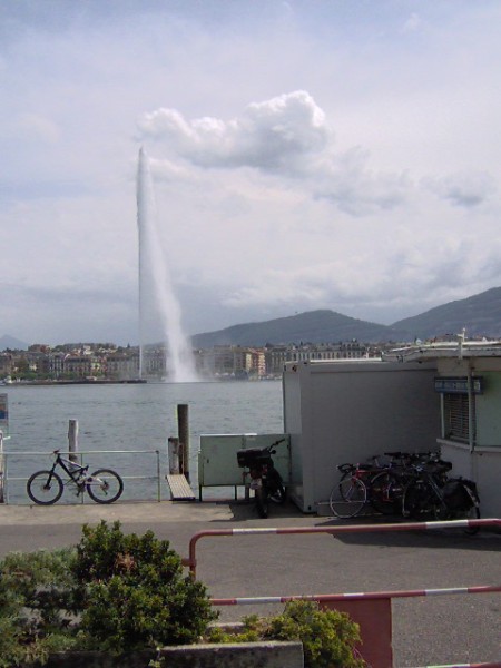 Clicca per vedere l\'immagine originale