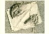 Drawing Hands