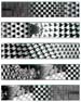 MetamorphoseIISm.jpg (9583 bytes)