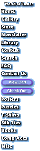 Main Nav Bar